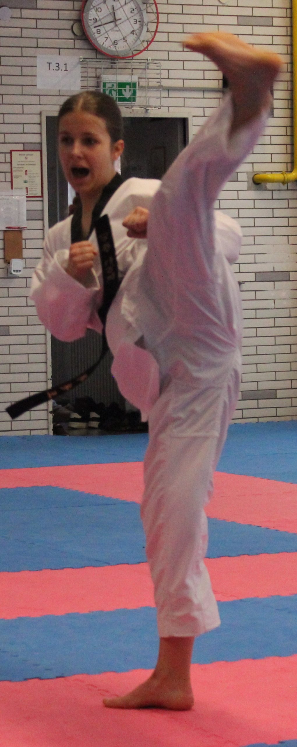 Formenlauf Fiona (2)